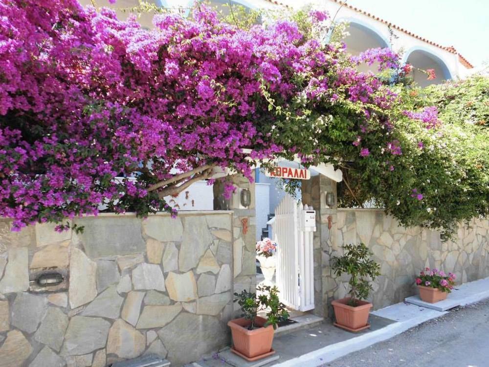 Koralli Studios Korissia  Exterior photo